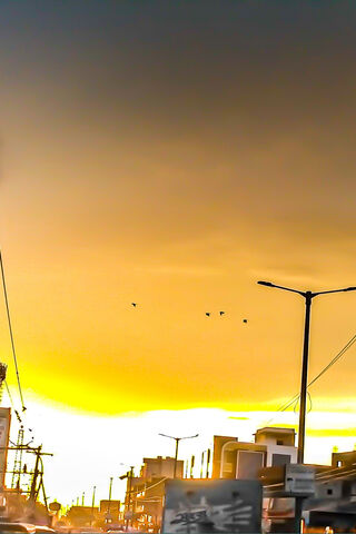 Golden Hour Serenity 🌅