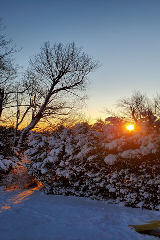 Winter Sunrise