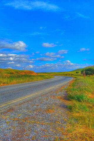 Yol: The Journey Awaits 🚗🌄