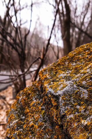 Golden Glow of Yello Rock 🌟