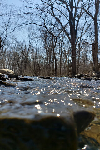 Nature's Whisper: Almost In