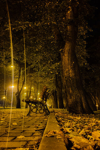 Enchanted Autumn Nights 🍂✨