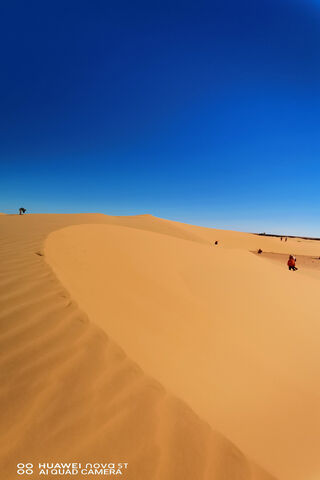 Endless Sands of Algeria 🌵✨