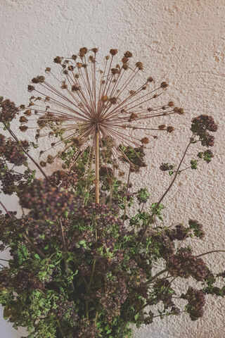 Autumn Flowers
