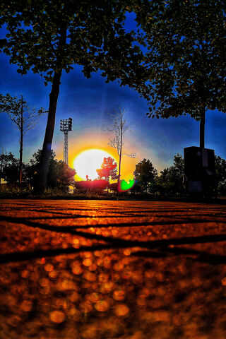 Sunset Symphony: The Dance of Light 🌅✨