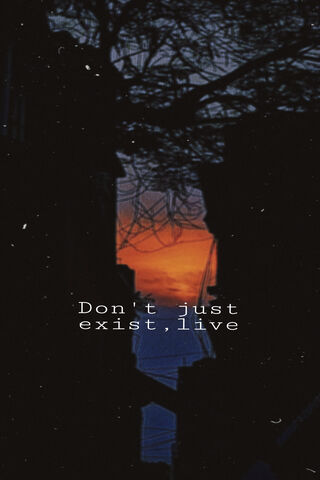 Embrace the Twilight: A Call to Live Fully 🌅✨