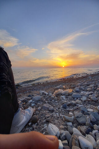 Apus: Embracing the Sunset
