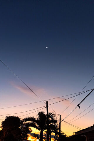 Twilight Whispers 🌅🌙