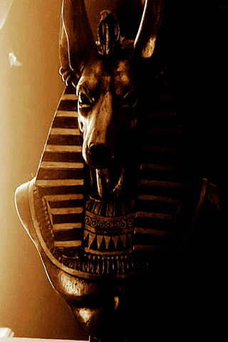 Anubis