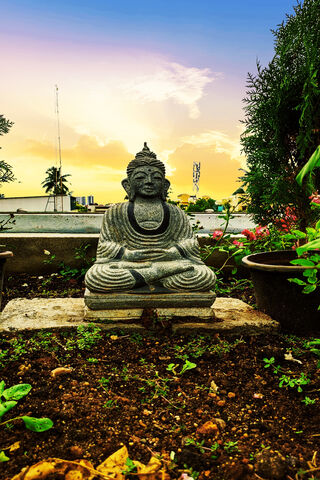 Serenity in Stone: The Buddha's Embrace 🌅🧘 