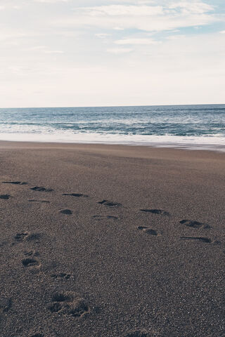 Beach - Plage