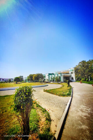 Serene Pathways Under a Clear Sky 🌳☀️