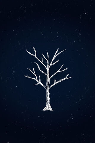 Whispers of the Baadsha297: A Sea of Serenity 🌊🌌