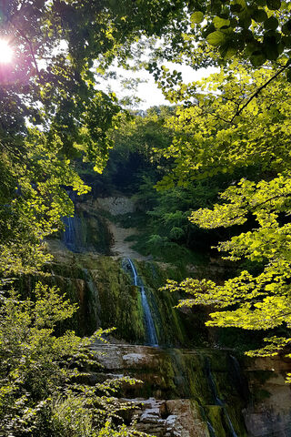 Tranquil Cascades of Nature 🌿💧