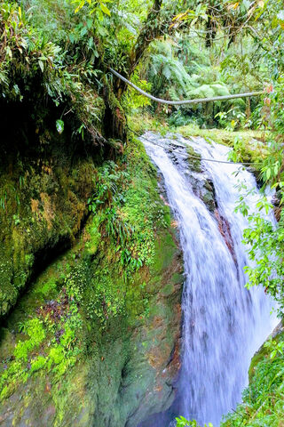 Nature's Symphony: The Cascadas Experience 🌿💦