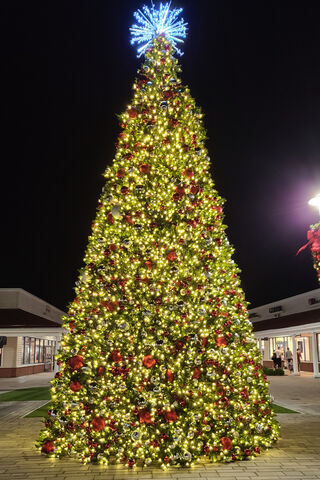 Sparkling Holiday Splendor 🎄✨