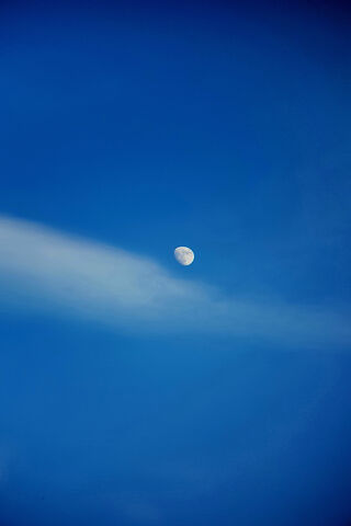 Cielo: The Moon's Gentle Embrace 🌙✨