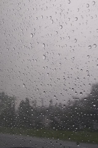 Rainy Reflections: A Day to Pause