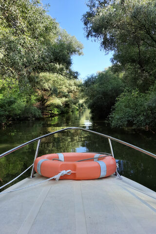 Danube Delta