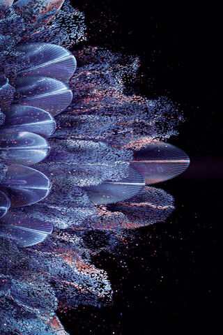 Petals of Light: A Cosmic Bloom 🌌✨