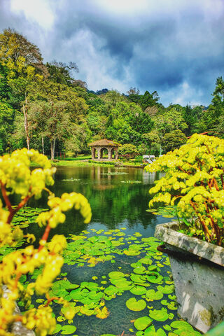 Serenity at Green Place 🌿✨