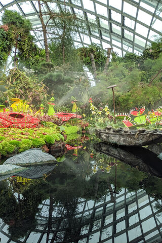Enchanting Oasis: A Glimpse into Garden By The Bay 🌿✨