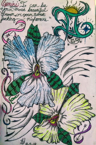 Gemini Flowers