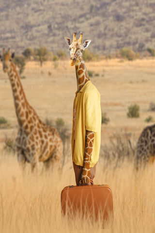 Giraffe Getaway: A Wild Adventure Awaits! 🌍🦒