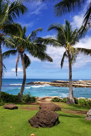 Hawaii Beach