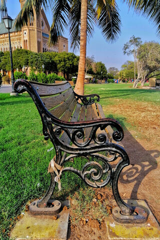 A Serene Spot in Karachi's Heart 🌴🪑