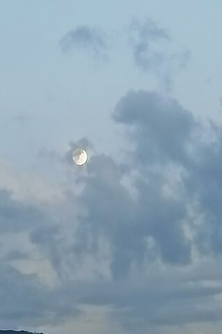 Luna's Gentle Glow 🌙✨