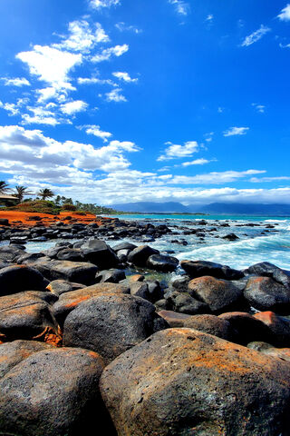 Maui's Majestic Shores 🌊🌴