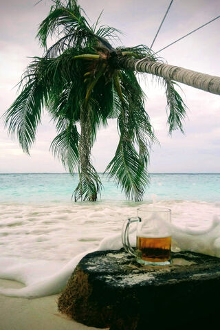 Tropical Bliss in the Maldives 🌴🍹