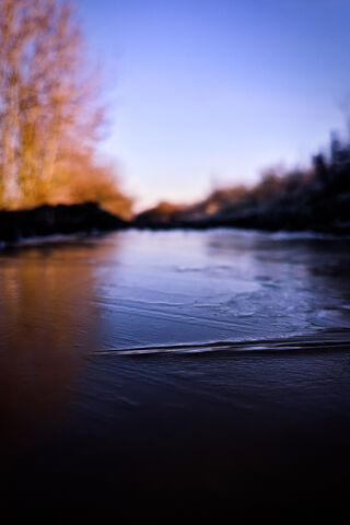 Chill of Dawn: A Glimpse of Morning Ice ❄️🌅