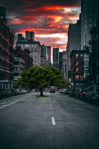Urban Oasis 🌳✨