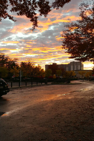 Autumn's Golden Hour 🌅🍂