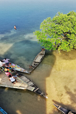 Serenity by the Water: A Day with Nature and Boats 🌊🌿