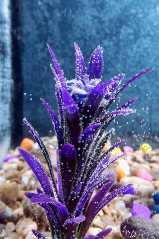 Underwater Serenity: A Splash of Color 🌊💜