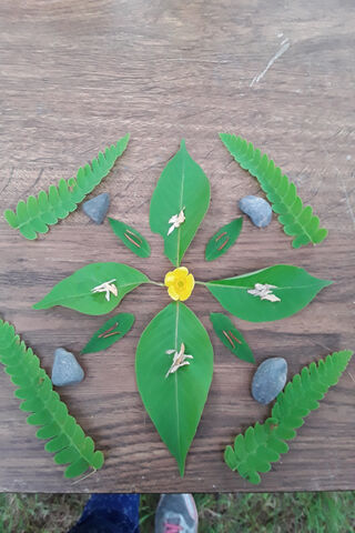 Nature's Mandala: A Green Symphony 🌿✨