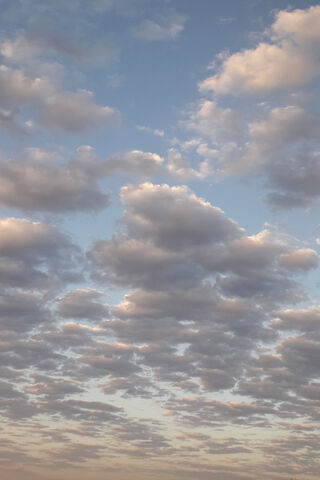 Whispers of the Sky: Nebo Poet