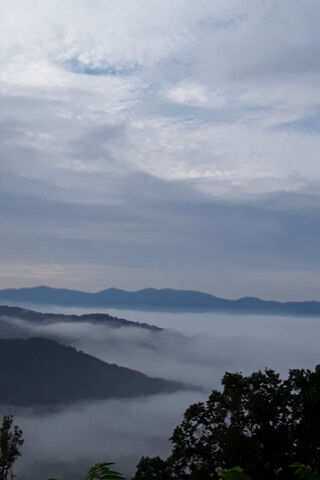 Mystical Mornings in the NC Mountains 🌄✨
