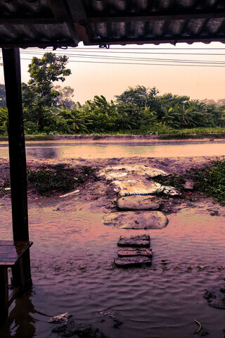 Rainy Day Reflections 🌧️