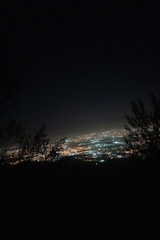 City Lights Under the Stars 🌌✨