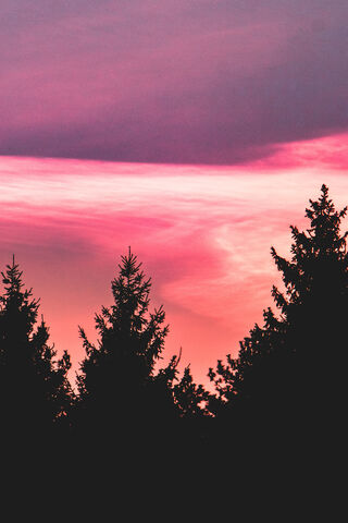 Enchanted Twilight 🌅✨