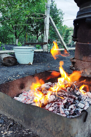 Fireside Moments in the Parents' Garden 🌱🔥