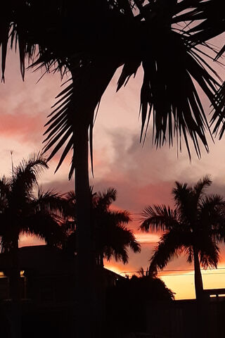 Tropical Twilight Bliss 🌴🌅