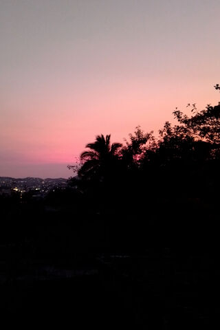 Whispers of Pink Dusk 🌅