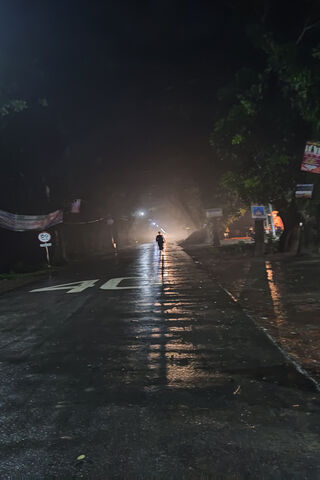 Whispers of the Night Rain