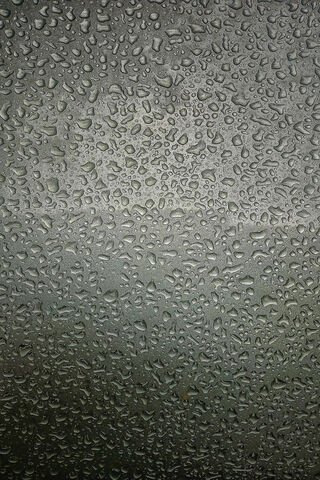 Nature's Crystal Beads: A Rainy Day Delight