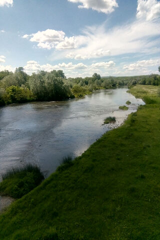 Serenity by the River 🌊🌿